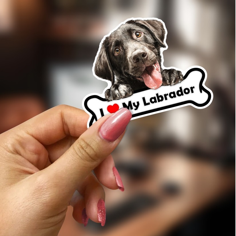 I Love my Labrador, Sticker, Peel N' Stick, Different Sizes