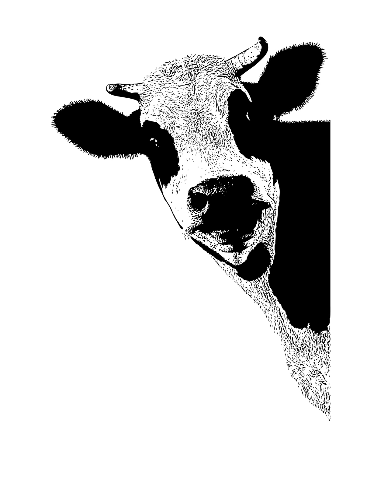 Kitchen Cow Wall Decal Sticker. Dining Room Cow Wall Art. Black Cow. #5476
