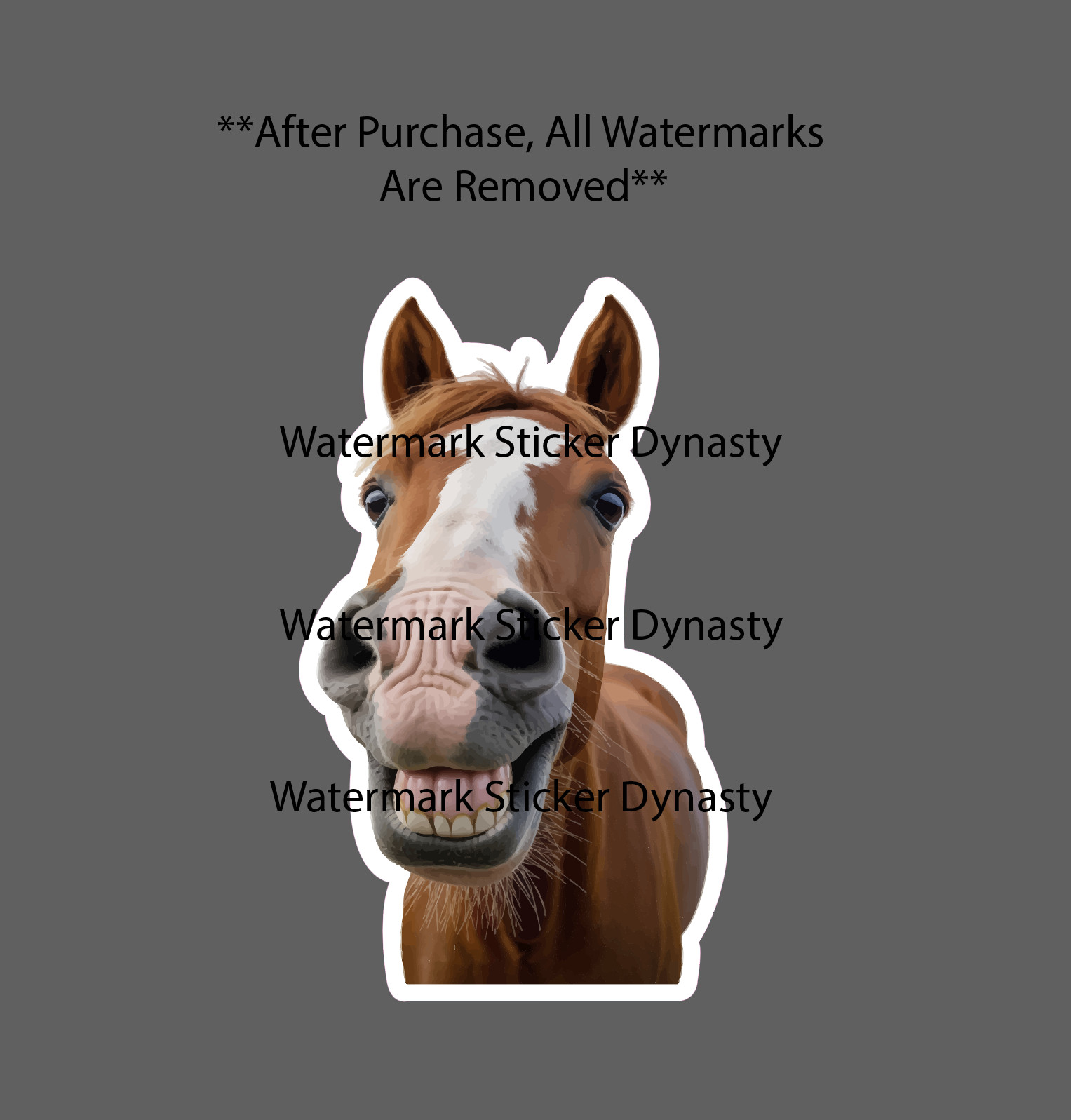 Horse Silly Face Sticker Waterproof Decal Farm Farmhouse Animal Gift NEW