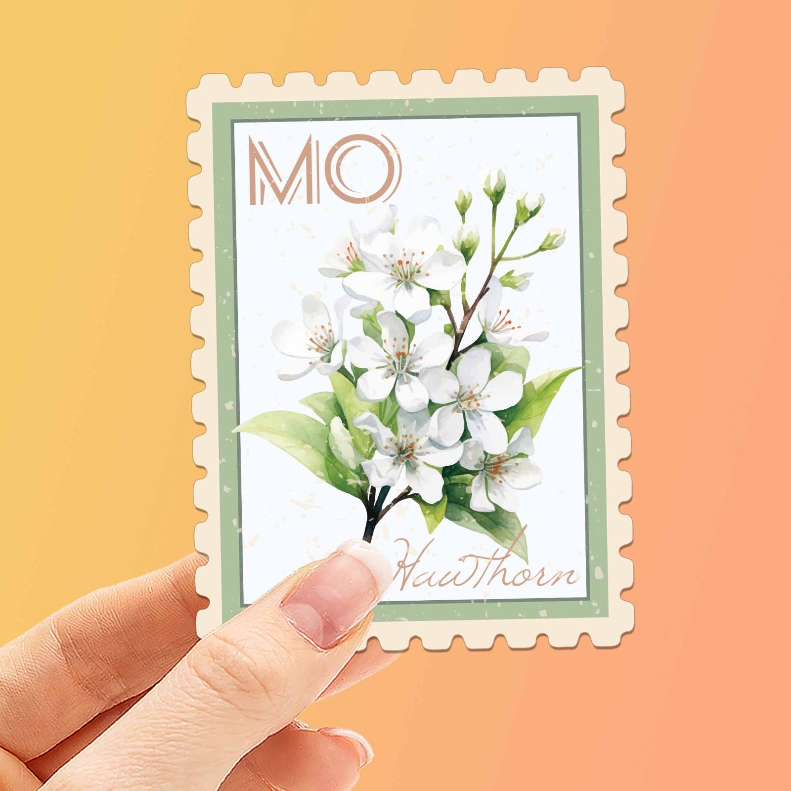 Missouri State Flower Hawthorn Sticker – MO Vintage Stamp Decal for Laptop