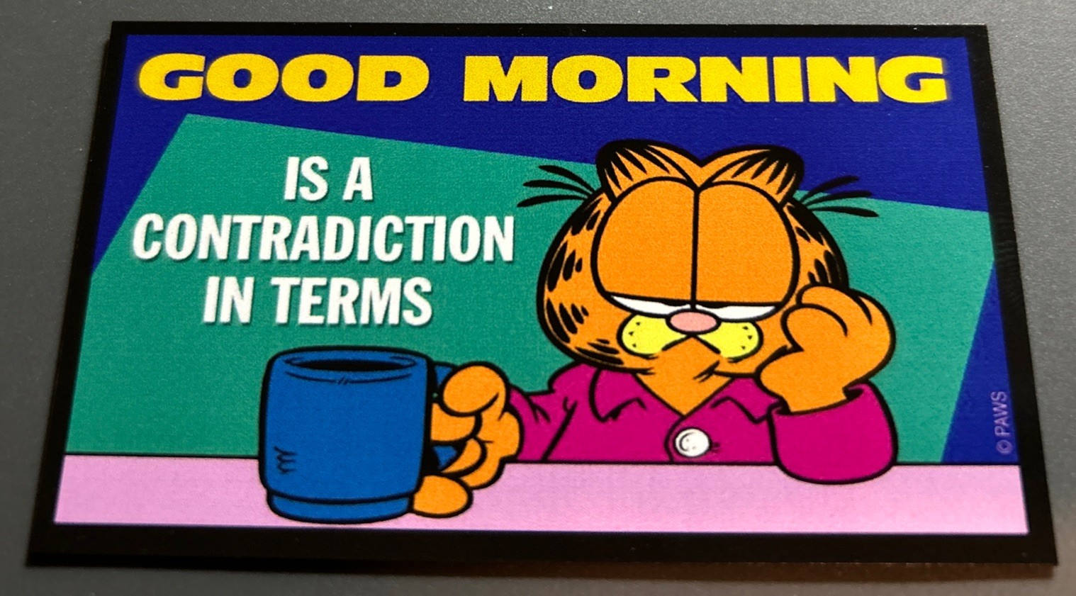Fridge Magnet: GARFIELD – Good Morning Is A Contradiction In Terms (Cat Humor)