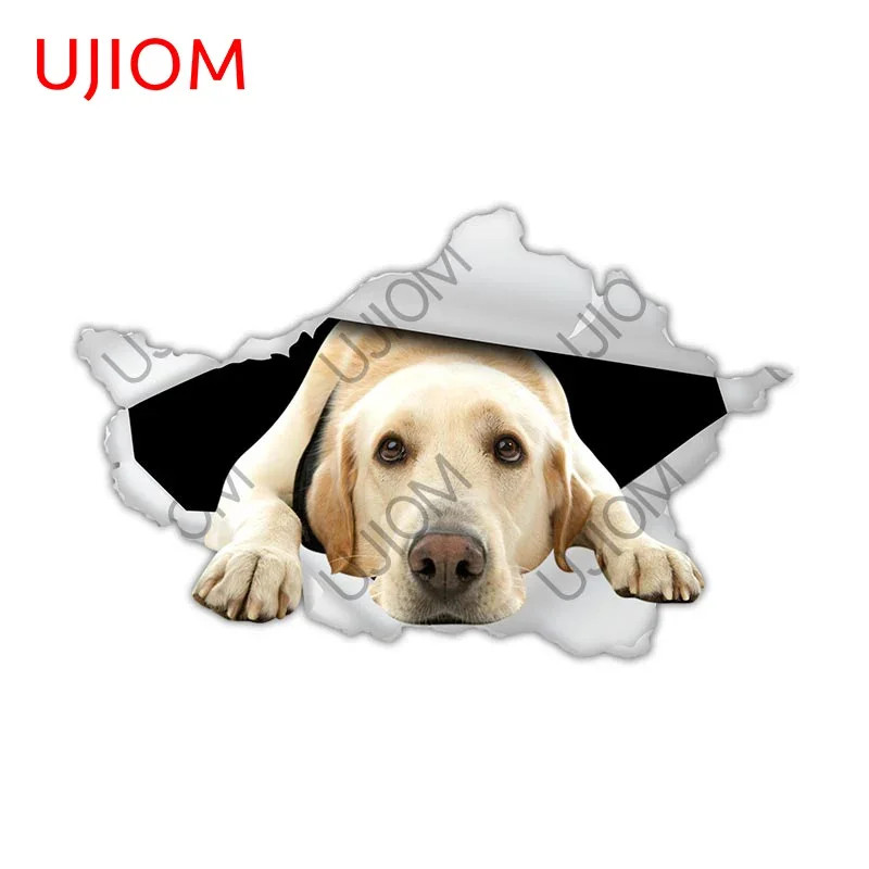 UJIOM 13cm Adorable Dog Wall Crack Sticker Personality Cupboard Home Decal