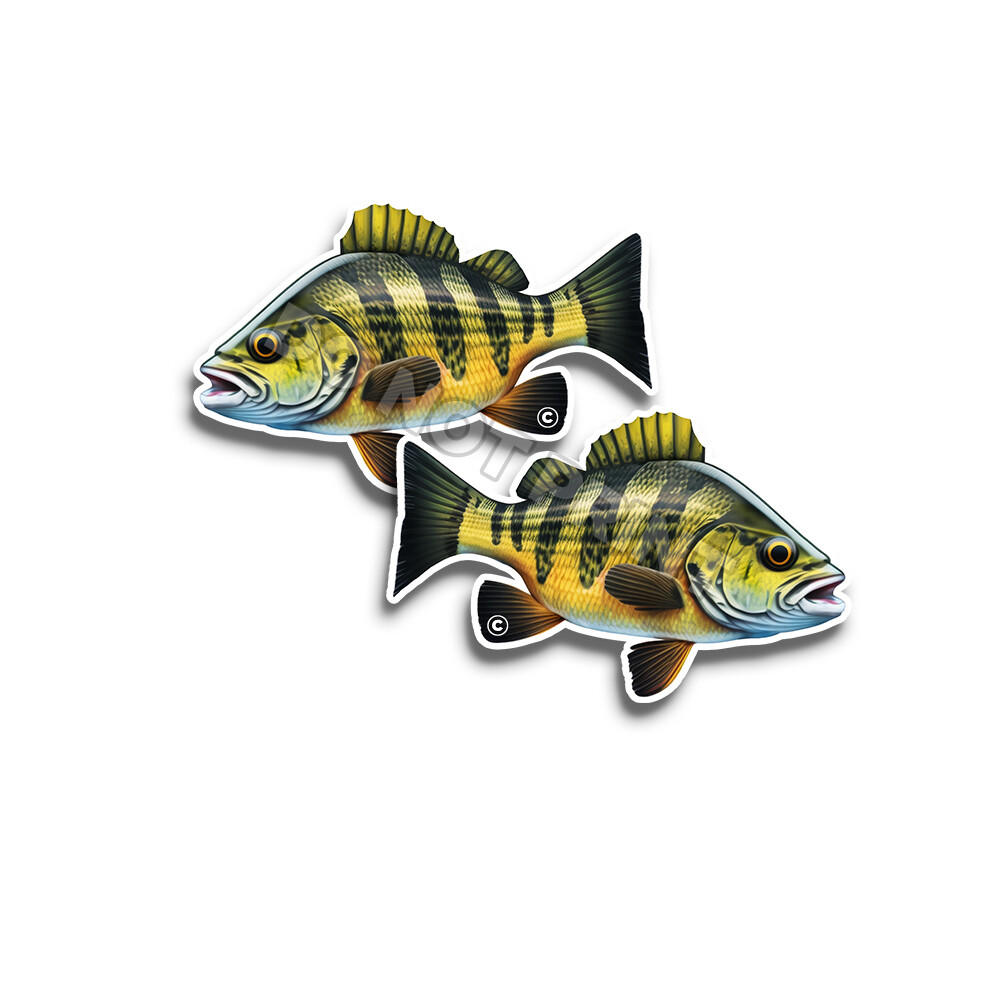 Perch Fish Vinyl Stickers FISHING Great Outdoors ANIMAL DECALS C35023 2 Pack