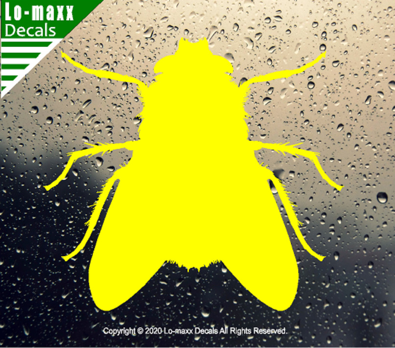 Fly Housefly Original Custom Graphic Art Superior Quality Die Cut Vinyl Decal
