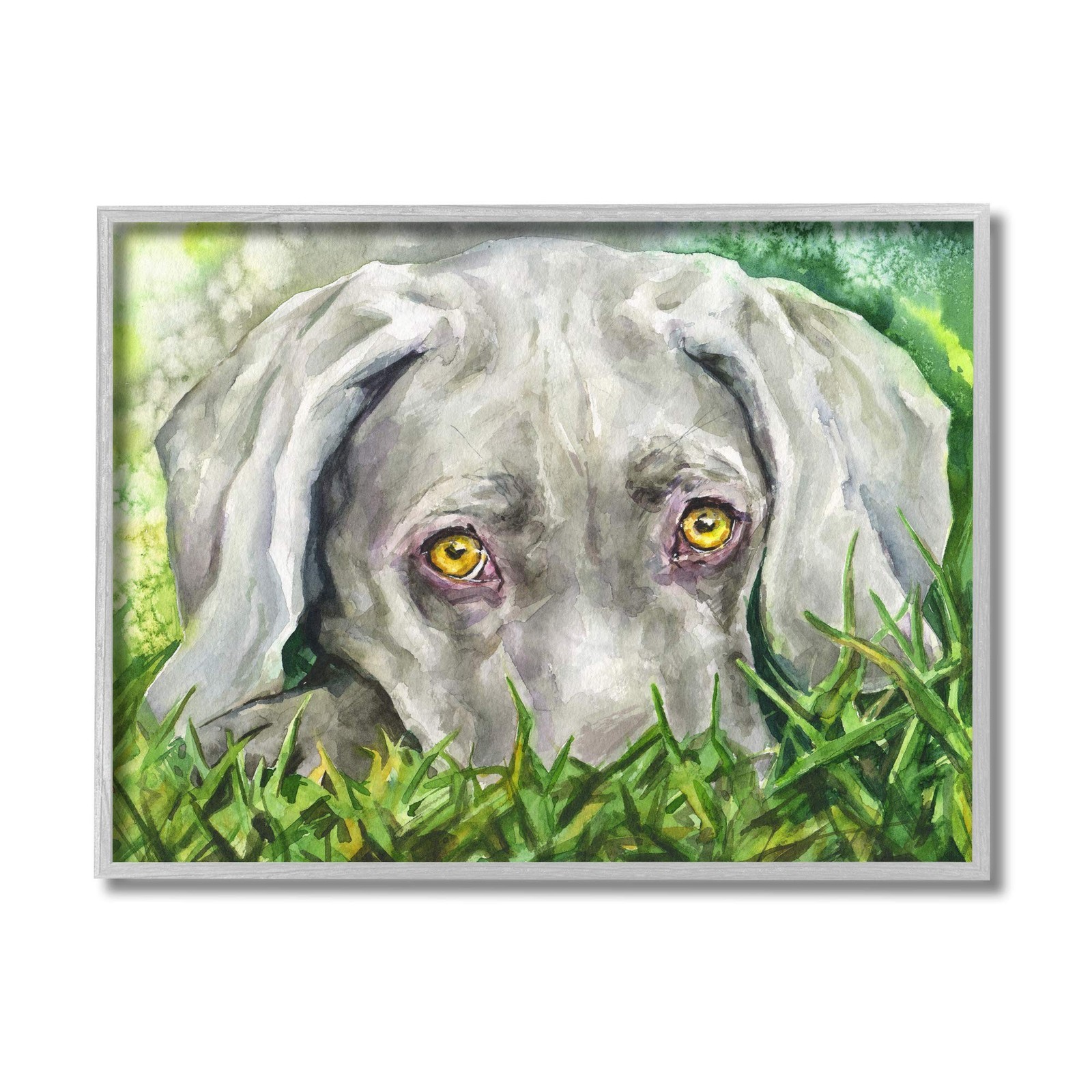 Stupell Industries Weimaraner Puppy Dog Resting in Green Grass 20"L x 16"W