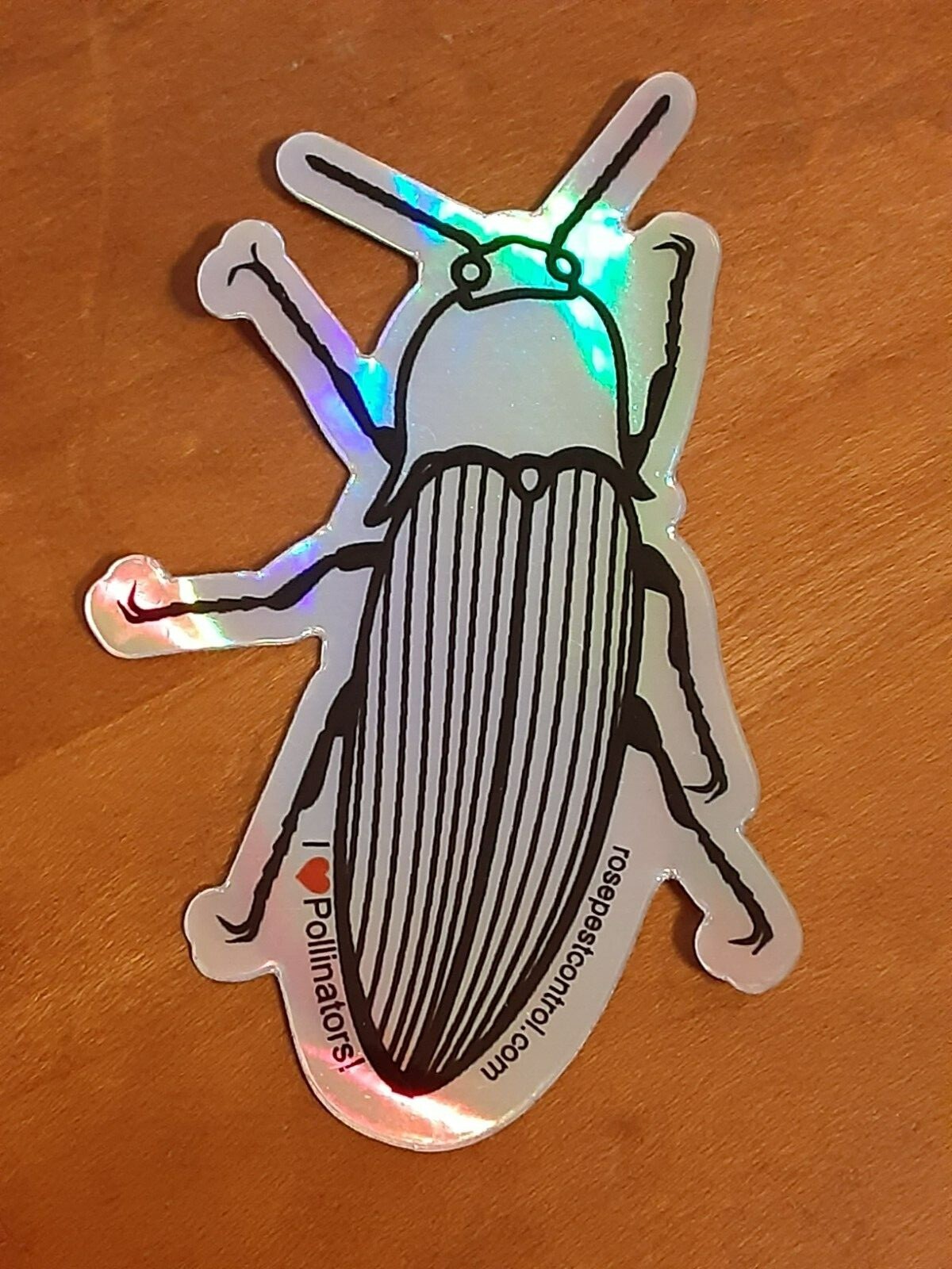 Roach Sticker – Bug – Silver and Shimmery – 3 Inches by 2 Inches – Brand New 