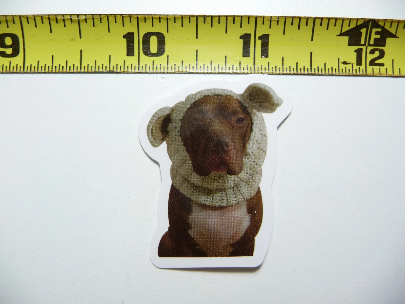 FUNNY DOG SMALL STICKER DECAL AX156 COLD WEATHER SIZE FUN HI PET FUNNY