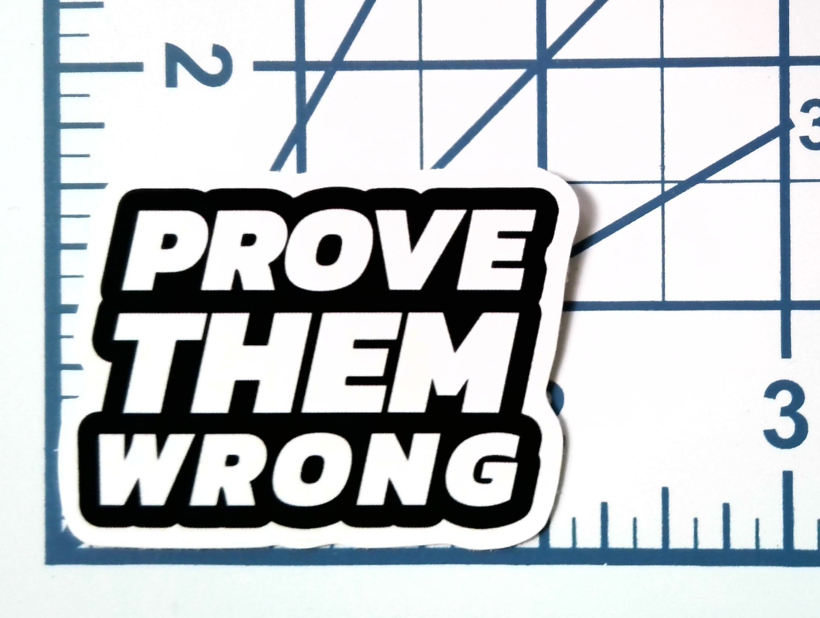 Prove Them Wrong Vinyl Sticker Motivational Quote Decal Laptop Bottle Gym