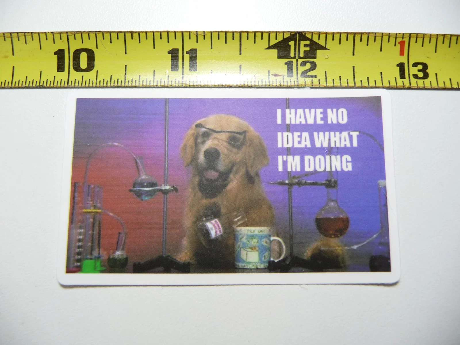 FUNNY LABRADOR RETRIEVER IN LAB SMALL STICKER DECAL SCHOOL TEACHER PROFESSOR