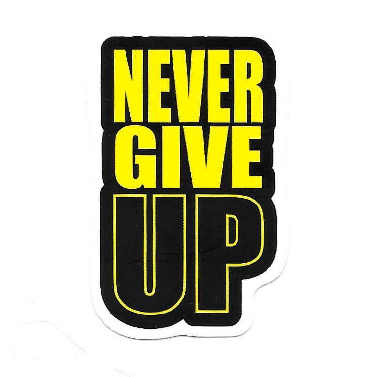 Never Give Up Vinyl Sticker Motivational Quote Decal Laptop Bottle Gym Phone