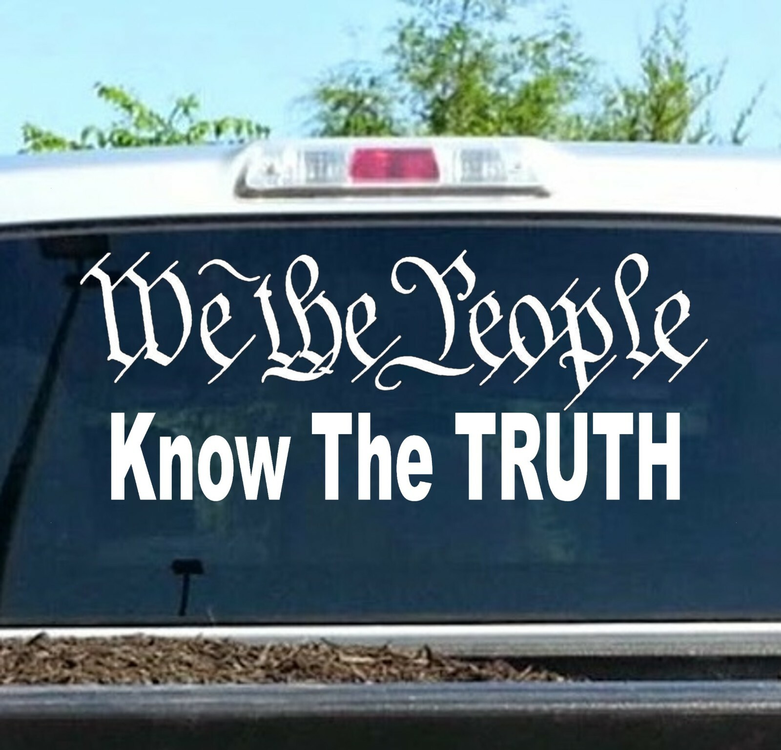 We The People Know The Truth Decal Sticker