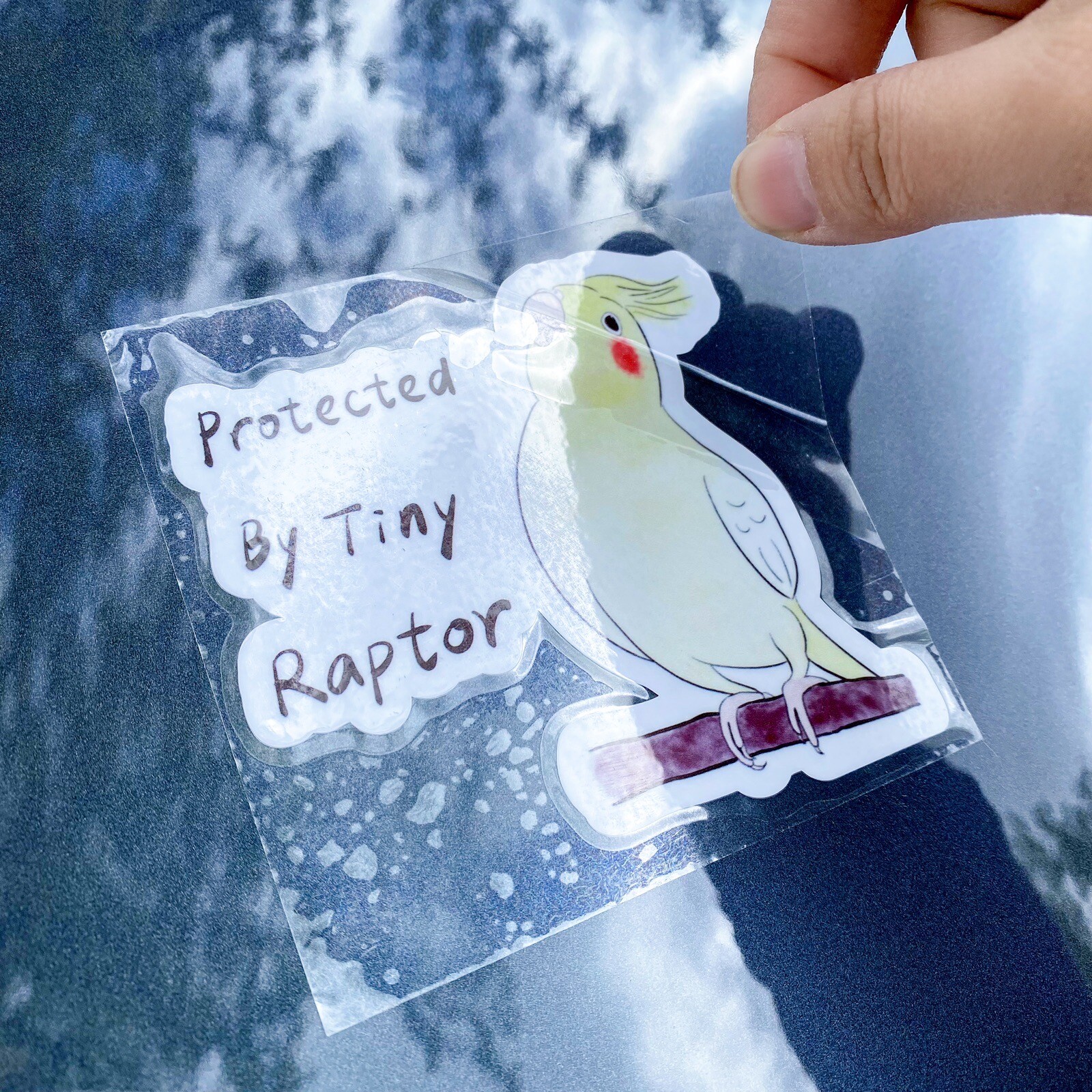 Dusky Conure Parrot CAR Sticker (screaming) Outdoor use / UV & Water Proof