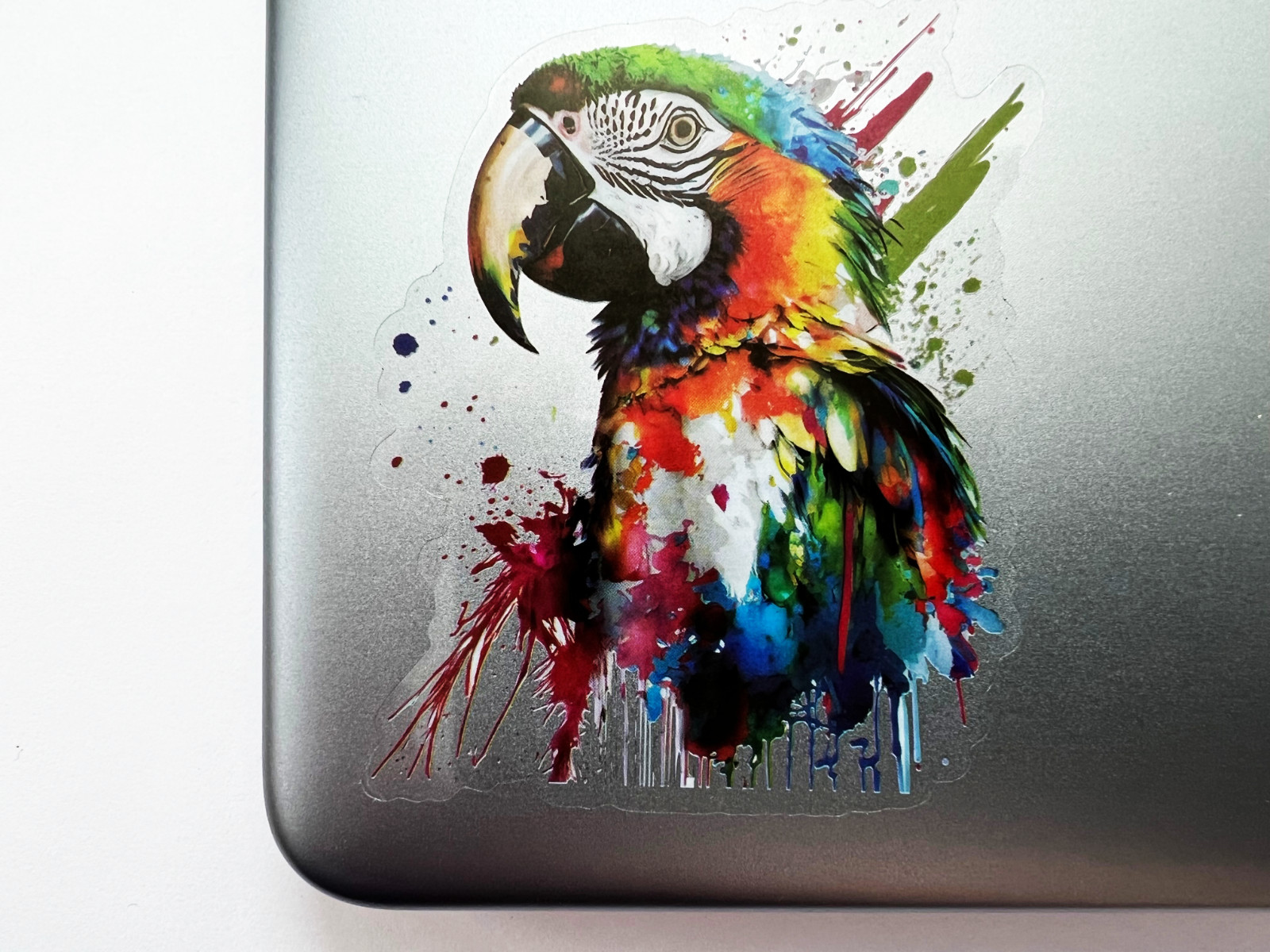 Colorful Macaw Parrot 3 Inch Transparent Sticker Jungle Nature Wildlife Decal