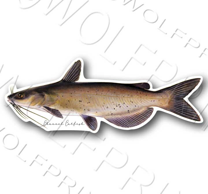 Northern Pike Fish Sticker 6" or 11" Wide Walleye Bass Boat Car Window Decal