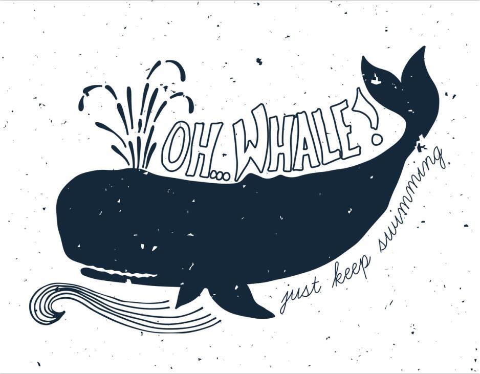 3D Whale 64 Wall Stickers Vinyl Murals Wall Print Decal Art AJ STORE AU Lemon