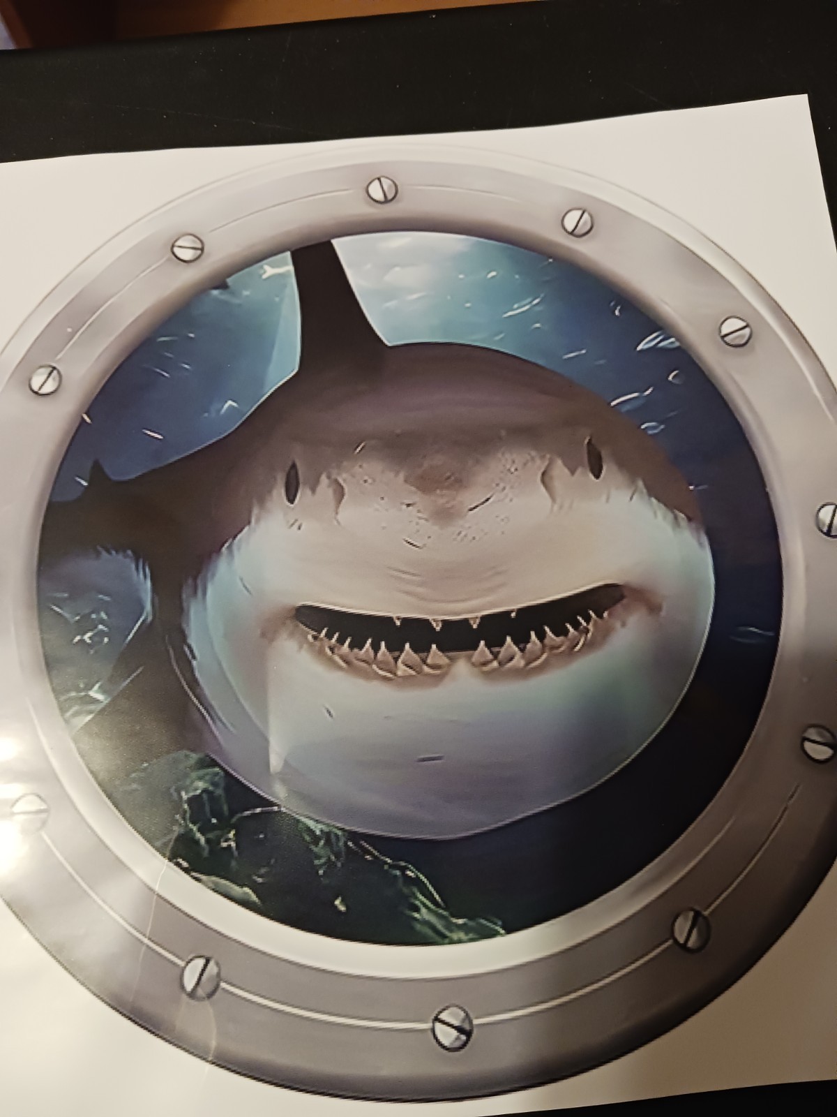 Funny 7.25” Shark Looking In Sticker
