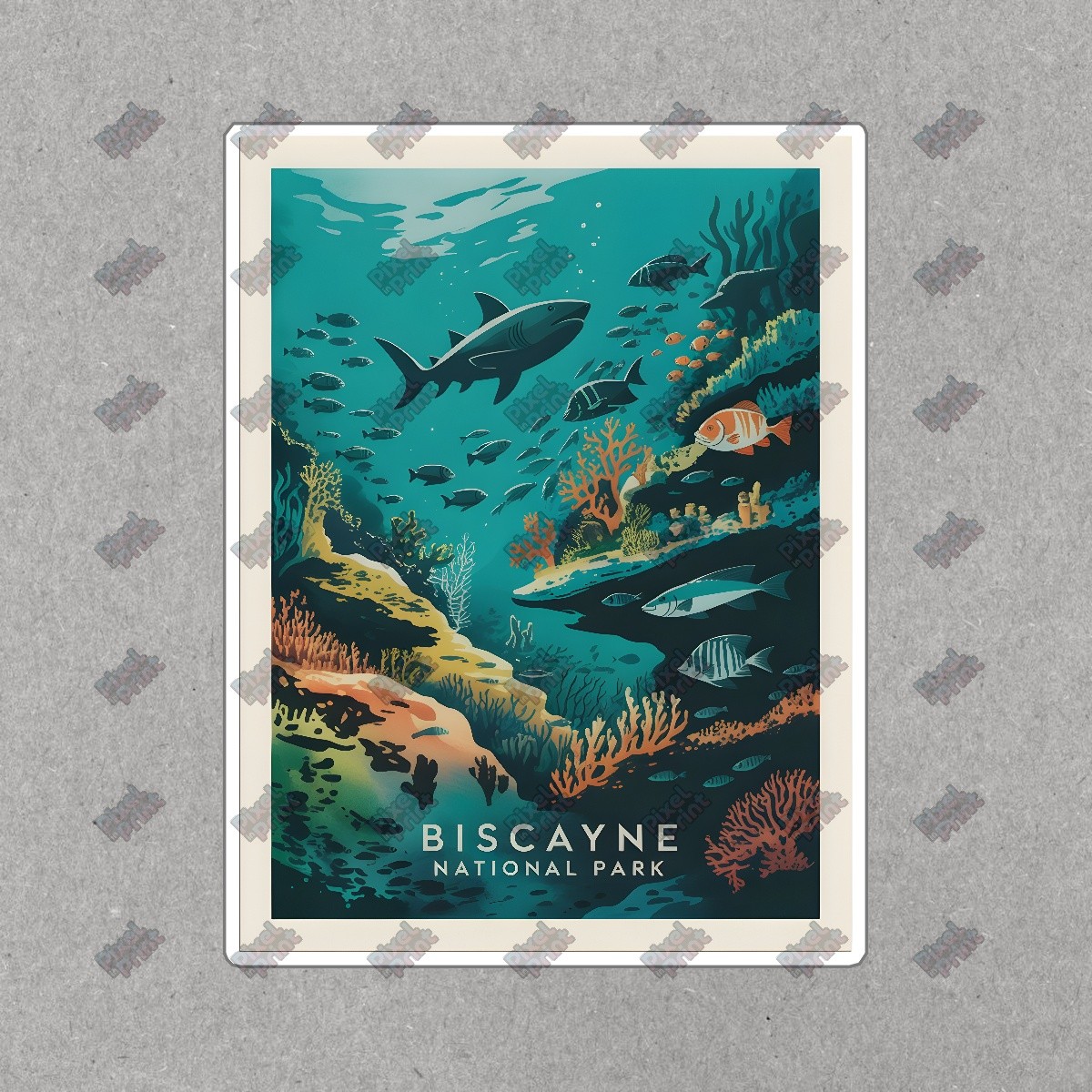 Vintage Biscayne National Park Underwater Scene Art Print Marine Life #8441