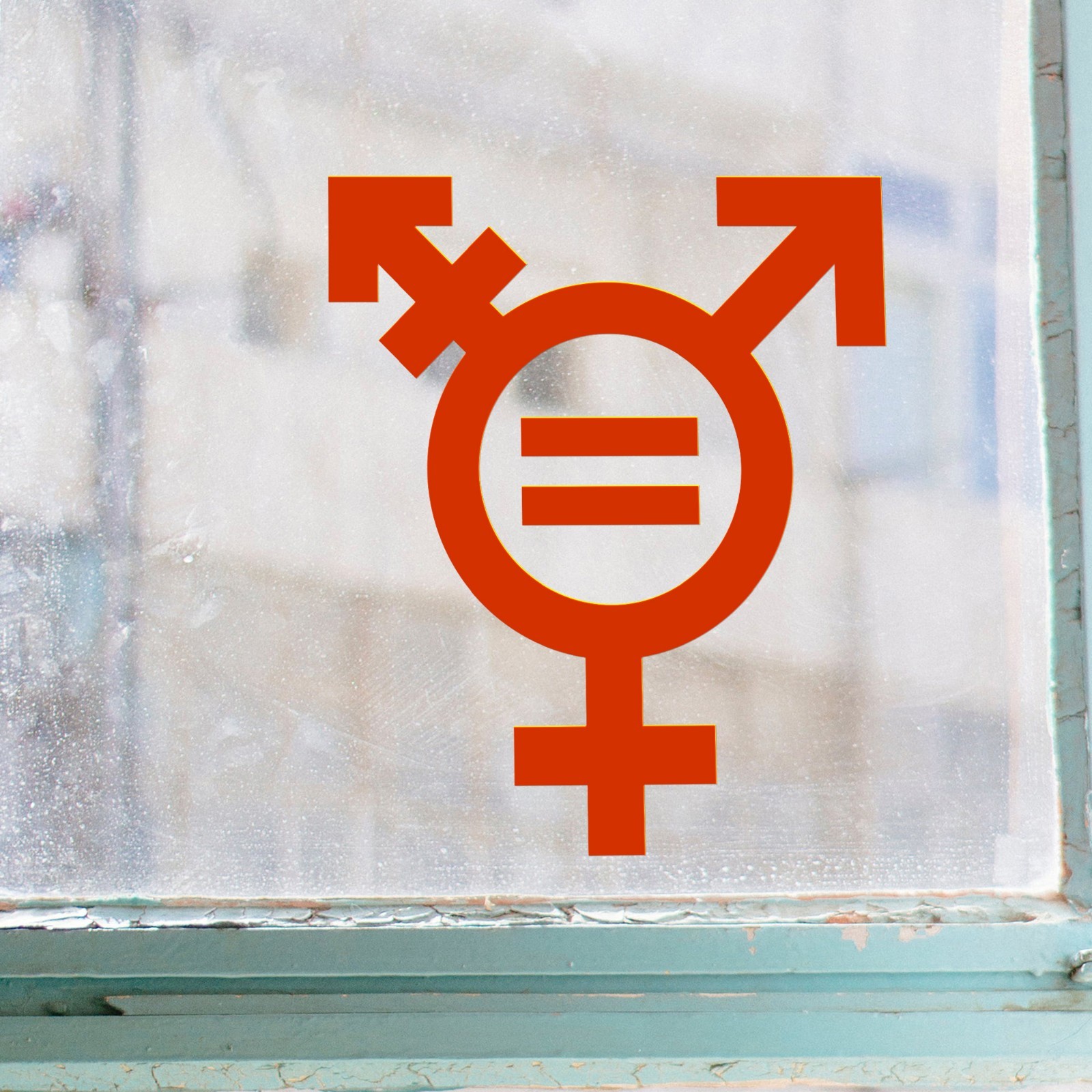 TRANSGENDER EQUALITY SYMBOL Vinyl Sticker – Gender Identity Icon – Die Cut Decal