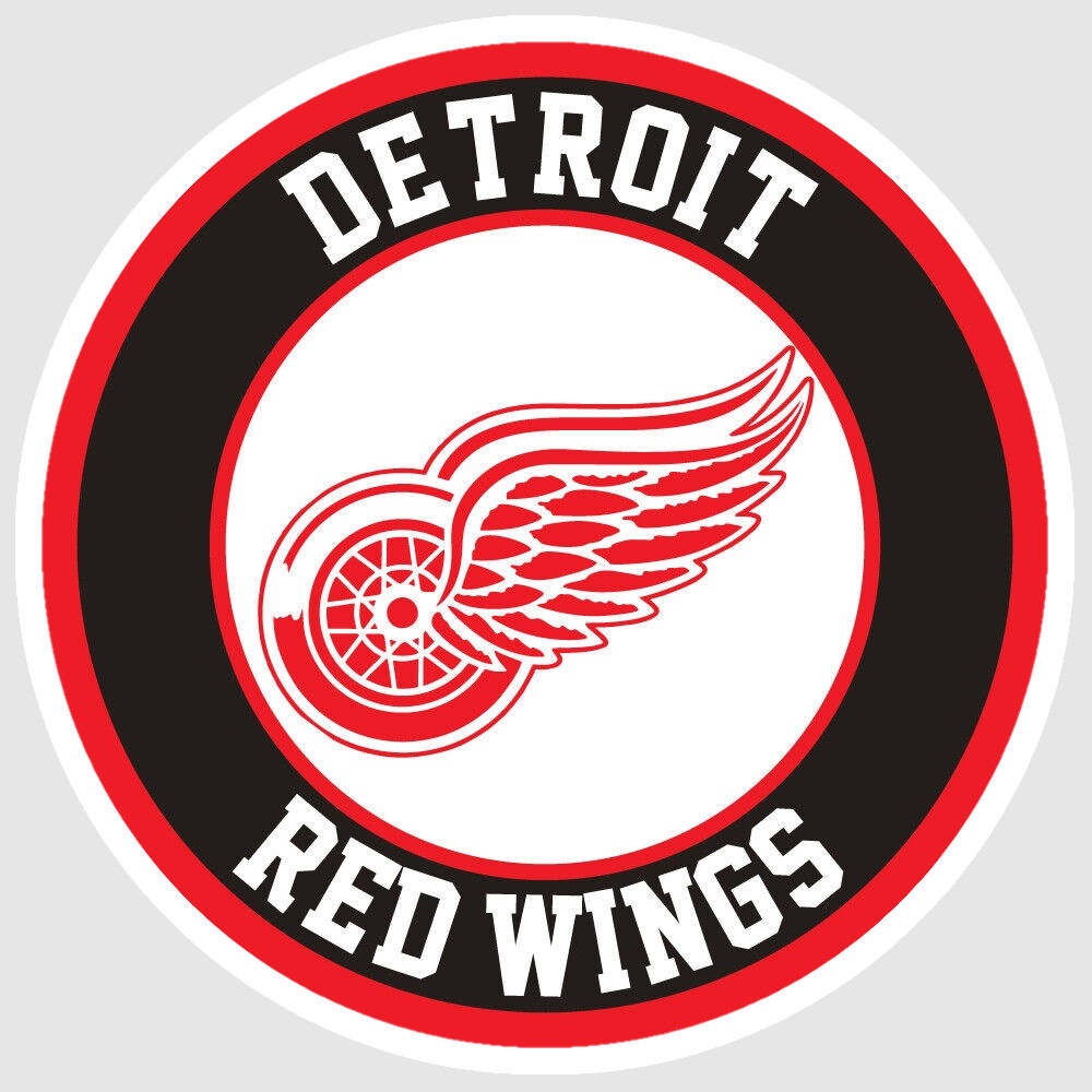 Weather Resistant Vinyl Sticker/Decal – Detroit Red & White Hockey 11