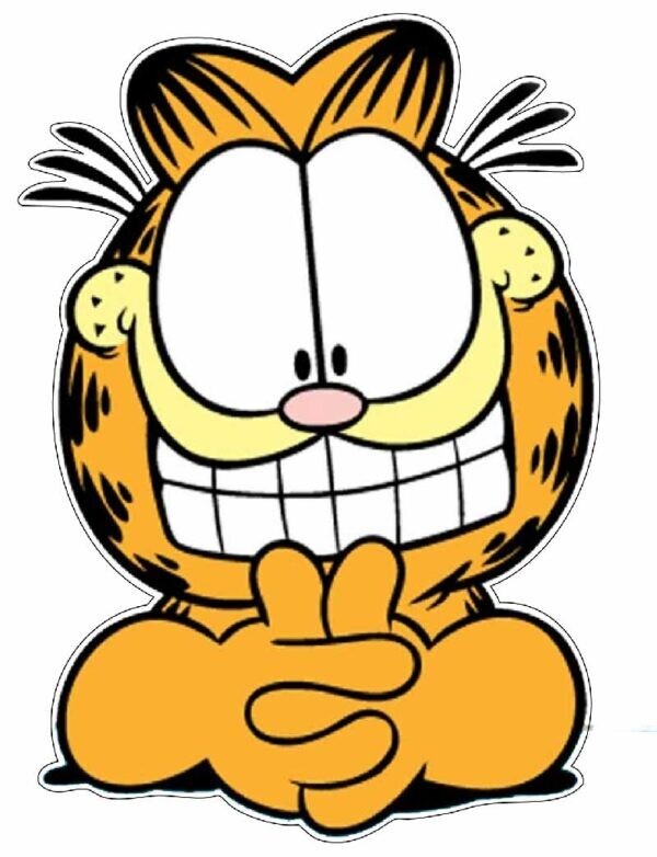 Garfield Smiling Lazy Orange Funny Cat Classic Cartoon Character vinyl sticker