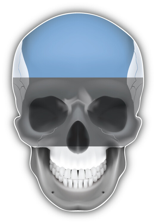 Estonia Flag Human Skull Car Bumper Sticker Decal