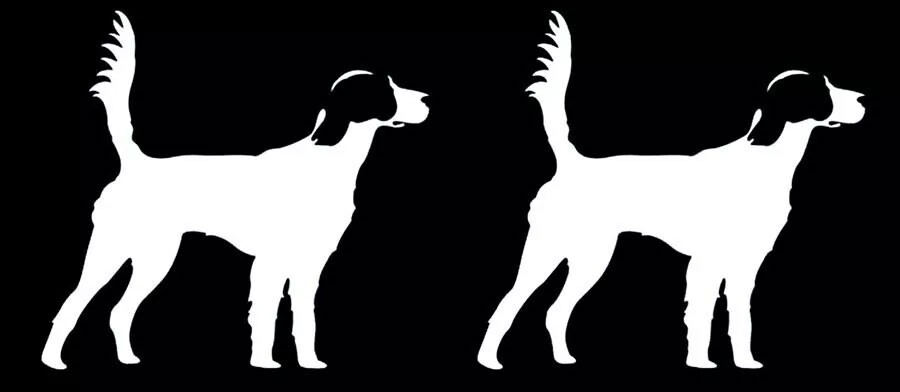 English Setter 2 Pack White Vinyl Decals Car Truck Window Laptop Tablet Tumbler