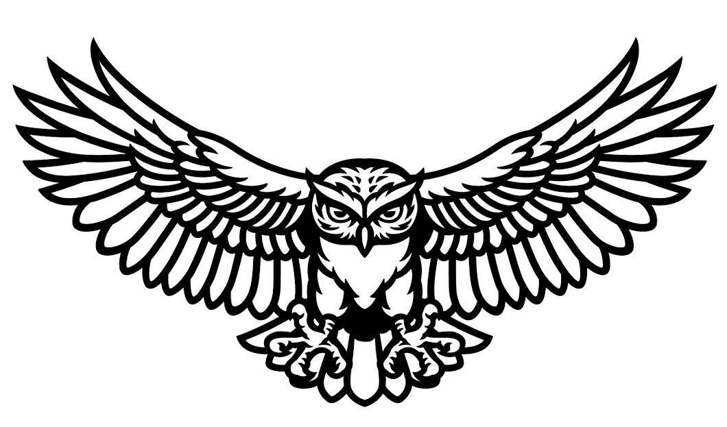 Owl Flying Hunting Two Pk 7" Vinyl Decal Car Truck Window Tablet Laptop Notebook