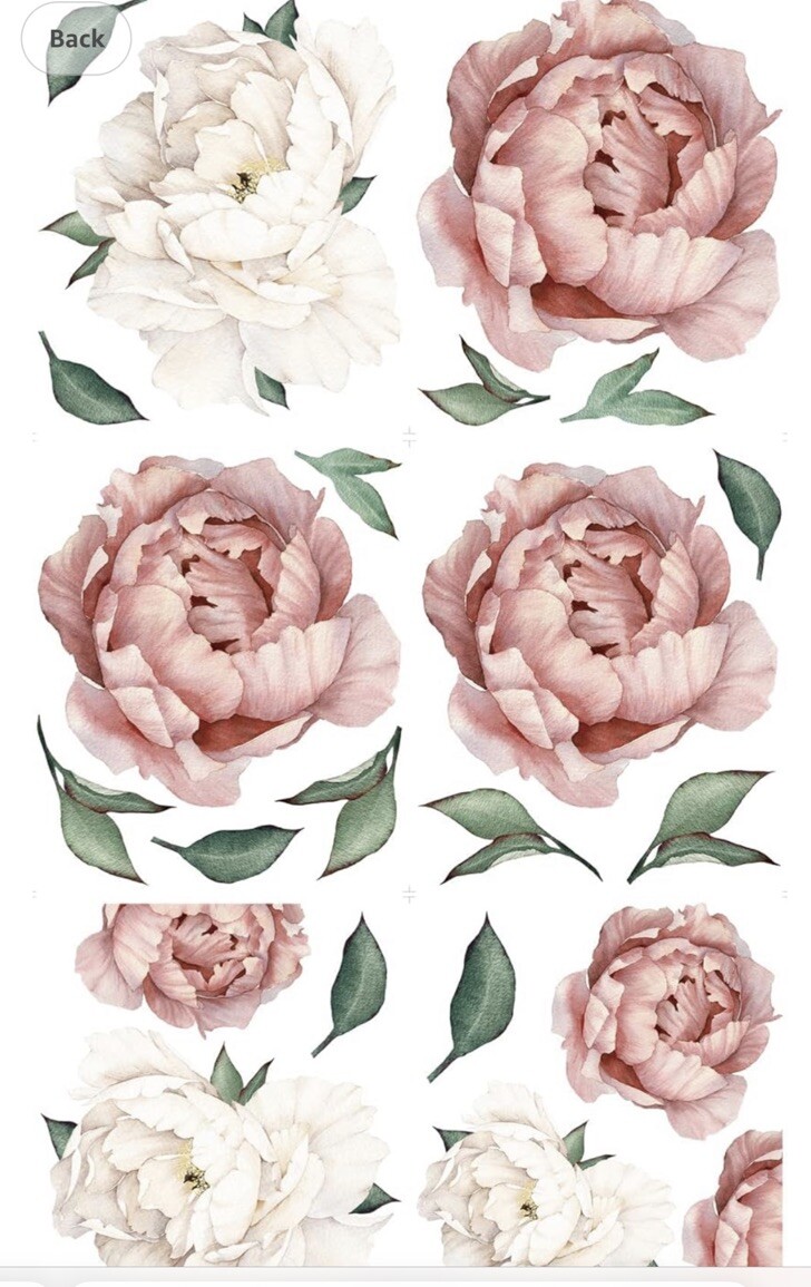 Watercolor Jumbo Floral Peonys Peel & Stick Giant Wall Decals Free Shipping
