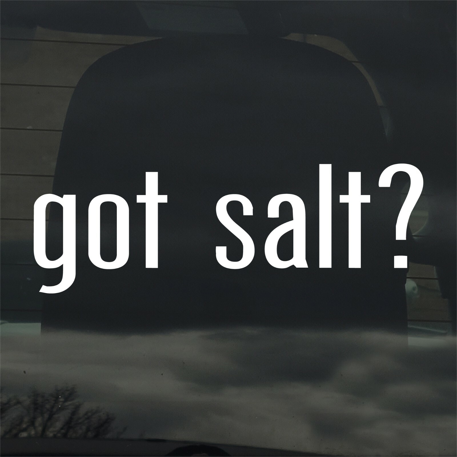 Got Salt? Custom Vinyl Sticker / Decal Cooking, Table, Sea, Chef, Food, Flavor