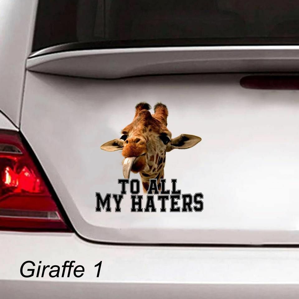 LARGE-SIZED CAR DECALS – SAYINGS – 5 CHOICES