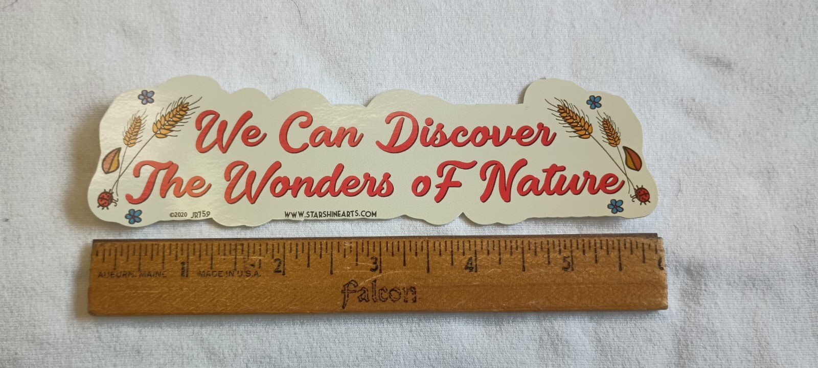 We Can Discover The Wonders of Nature 1.75 x 6 inch Sticker