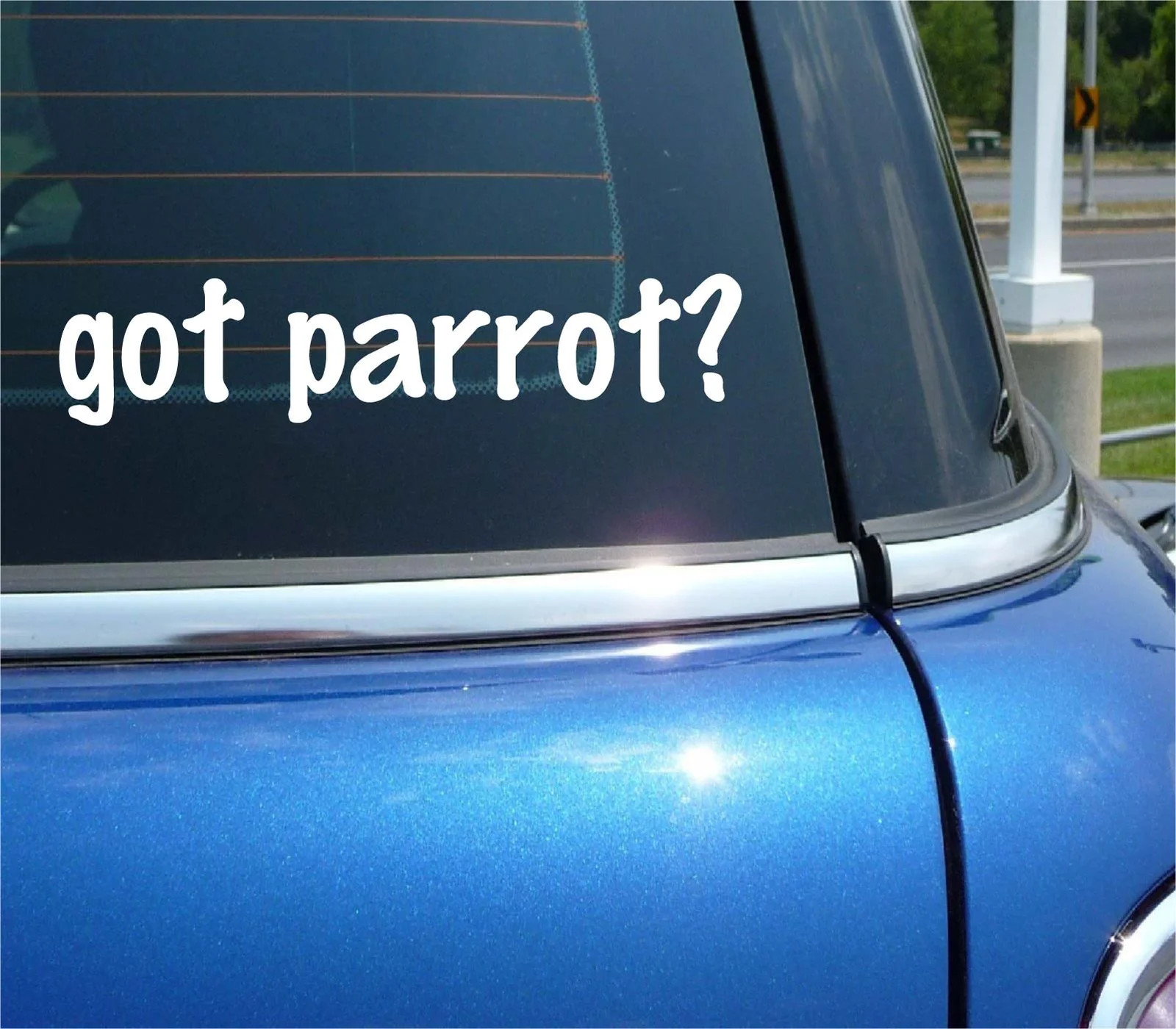 got parrot? CAR DECAL BUMPER STICKER VINYL FUNNY JOKE WINDOW