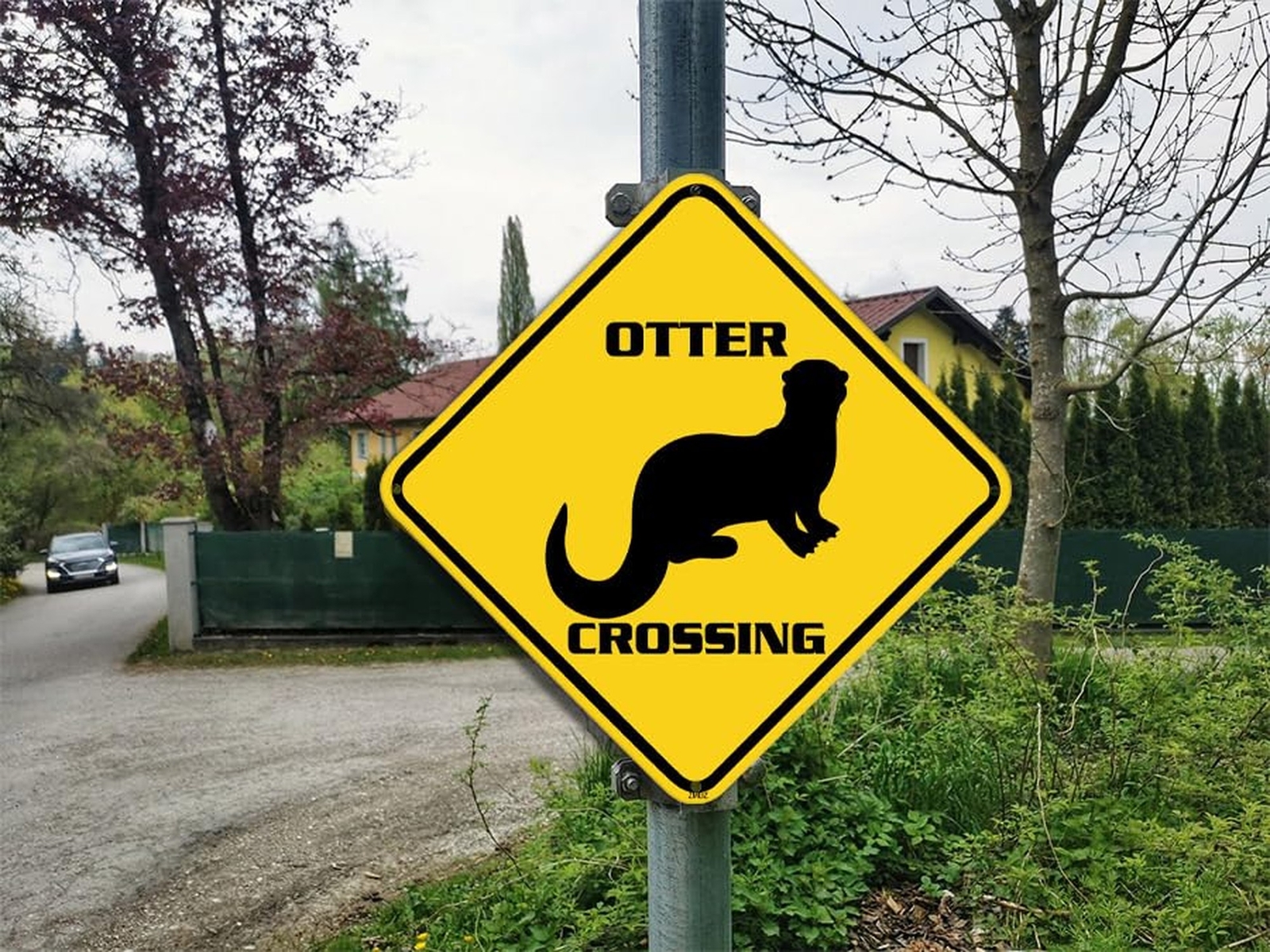 Otter Crossing Warning Sign Otter Animal Caution Yellow Wall Art Decorative D…