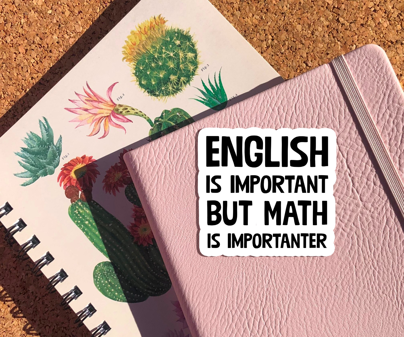 English Is Important But Math Is Importanter Vinyl Sticker – Funny Nerdy Decal
