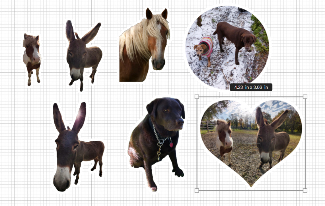 Custom Stickers, Kids, Pets, My design or yours, Waterproof UV/Gloss/Matte Stkrs