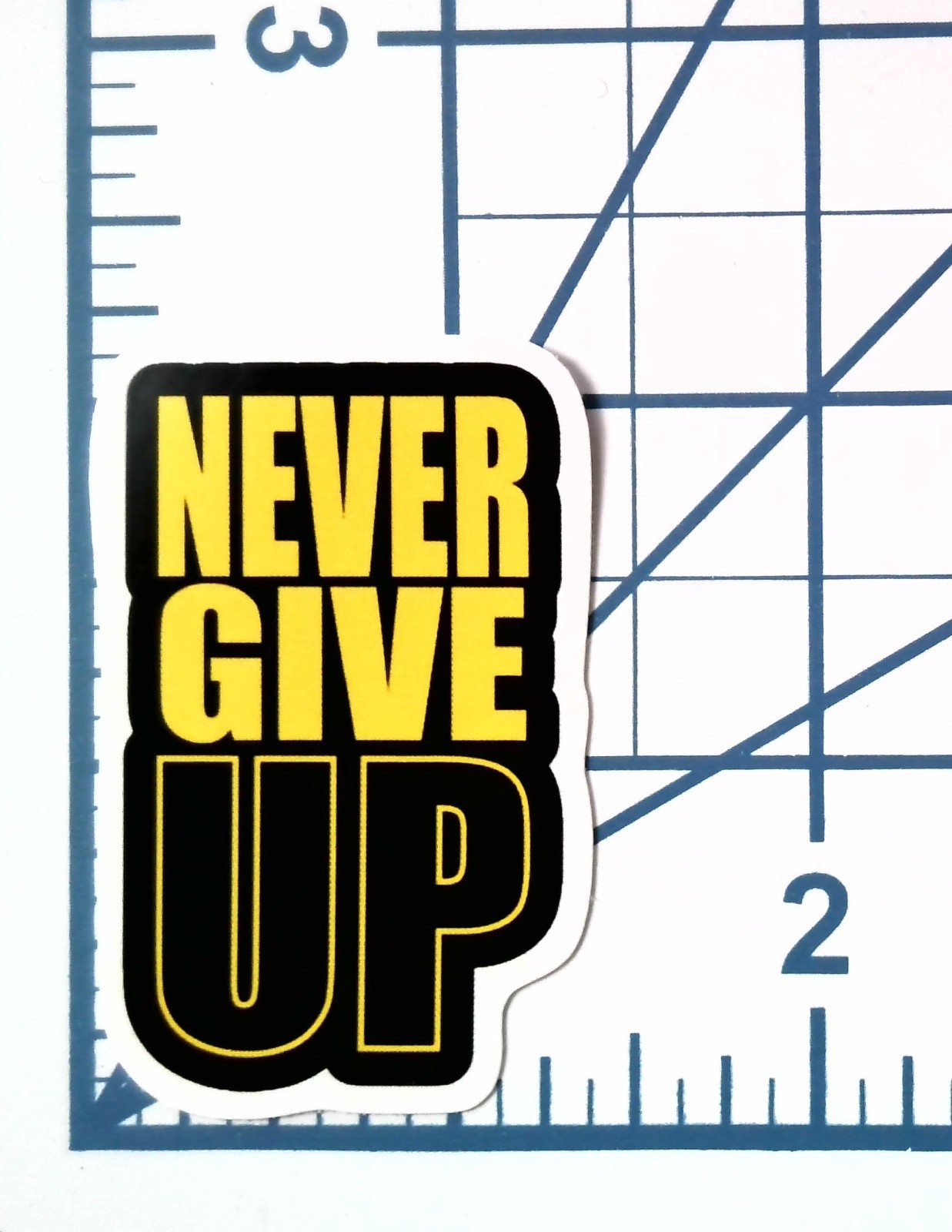 Never Give Up Vinyl Sticker Motivational Quote Decal Laptop Bottle Gym Phone