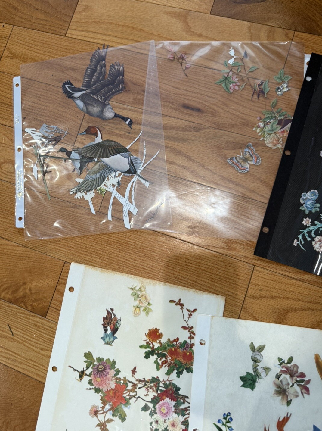 Decoupage Cutouts Vintage Floral Birds Animals People Vintage