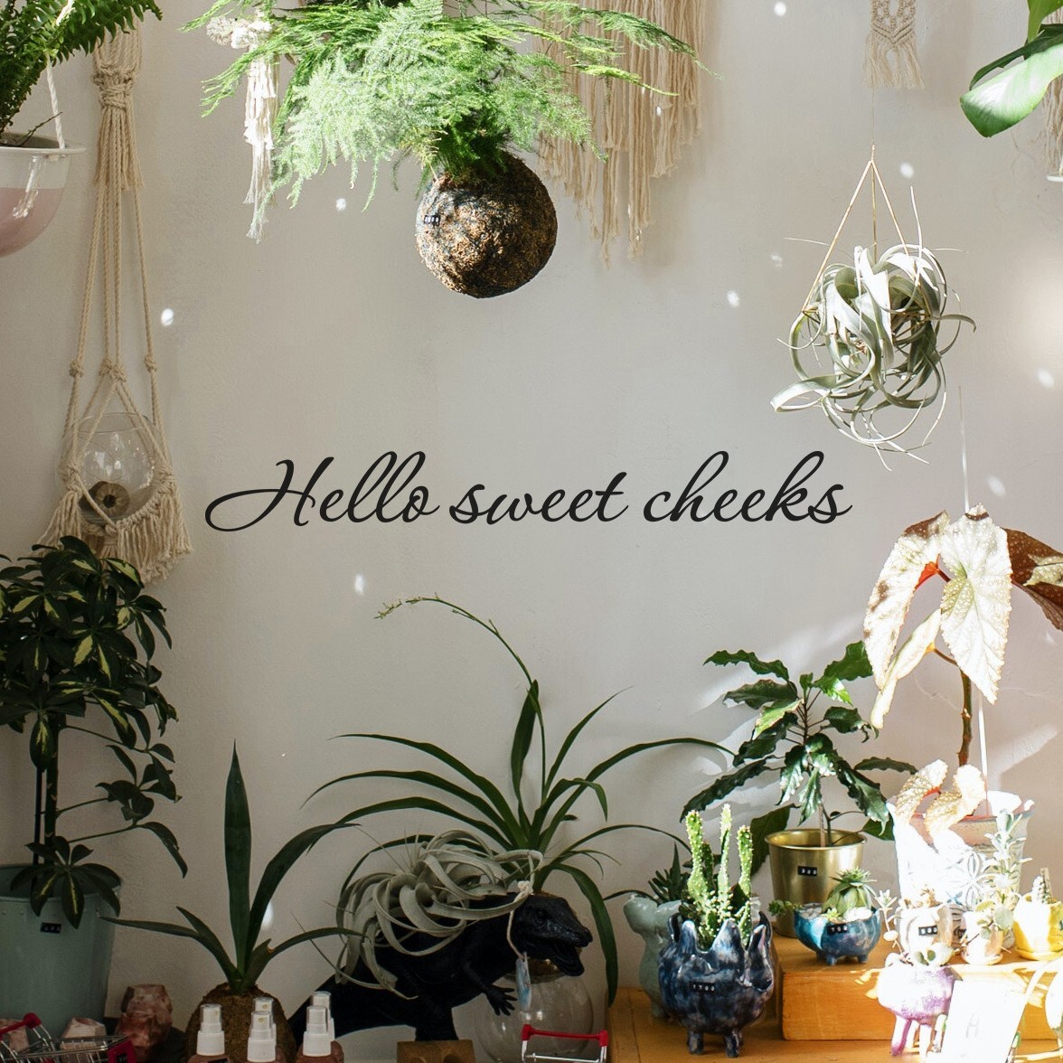 Hello sweet cheeks wall decal love quote sticker bedroom bathroom 22×3 inches