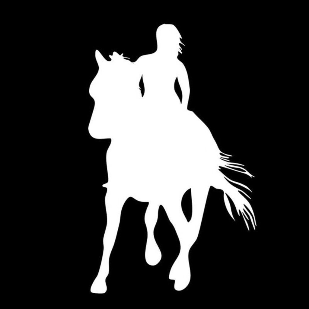 CMI NI909 Horseriding Decal | 8 Inches by 5 Inches | Premium Quality White