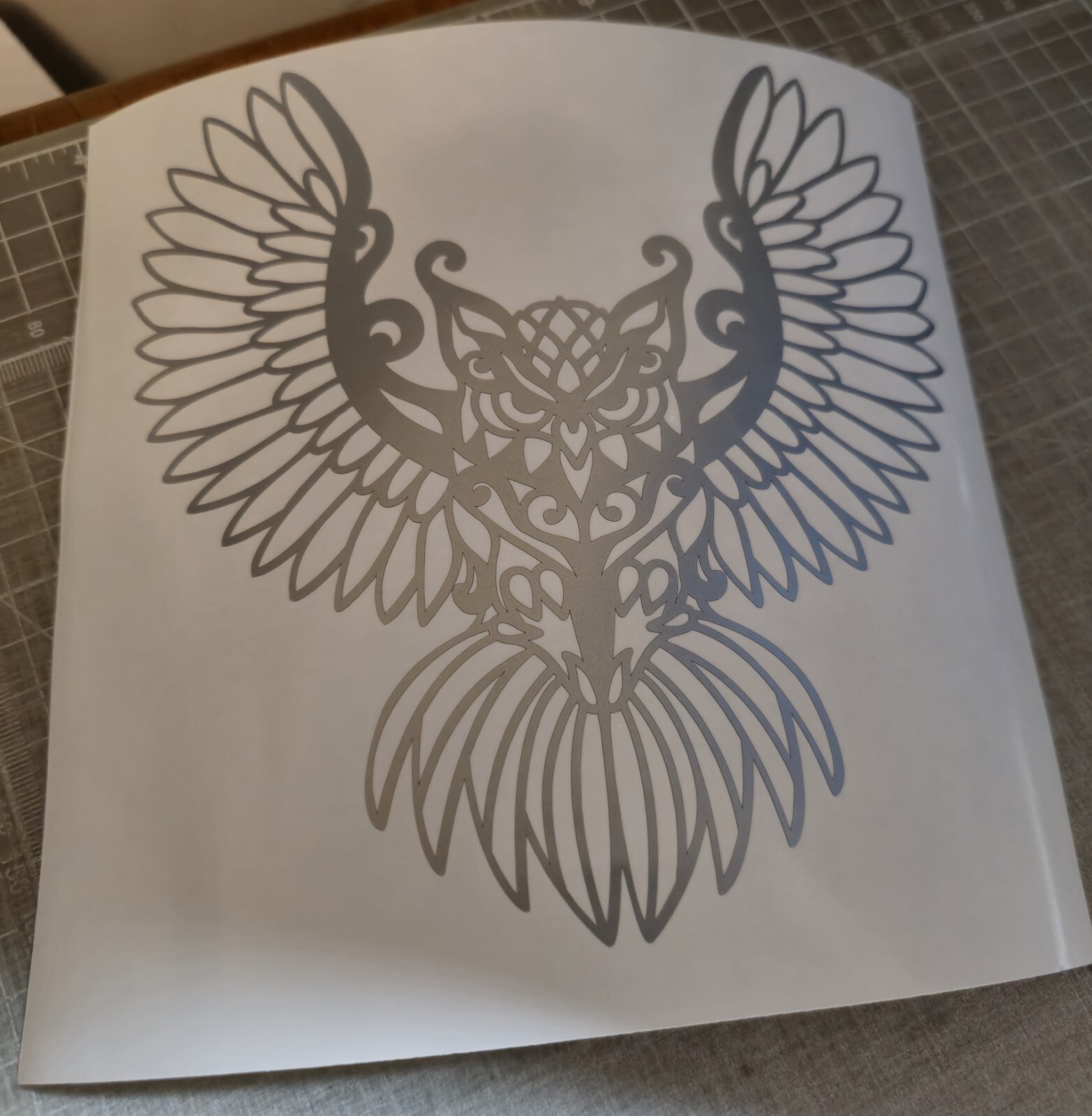OWL OWLS Vinyl Decal Car Sticker Wall Truck nature wild outdoors camping Birds