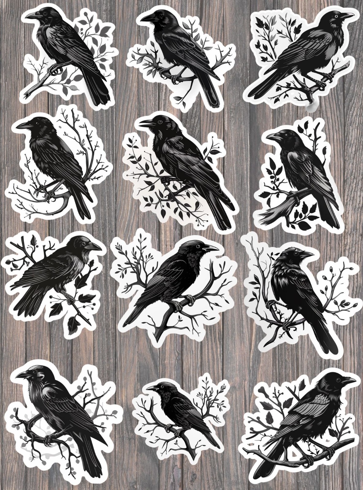 BLACK CROW Die Cut Vinyl Stickers Set Laptop WaterBottle