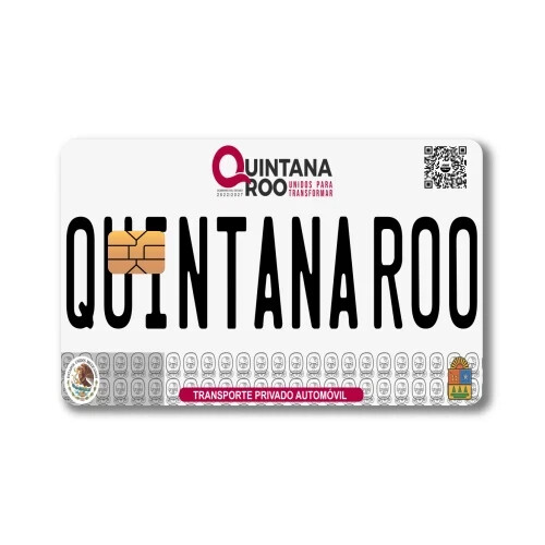 Mexican License Plate Sticker (4-Pack) | CHOOSE STATE | Mexico Placa Card Skin D