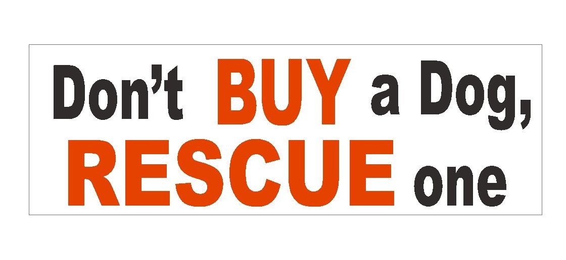 Don't Buy A Dog Rescue One Bumper Sticker or Helmet Sticker D414 Puppy PET K9