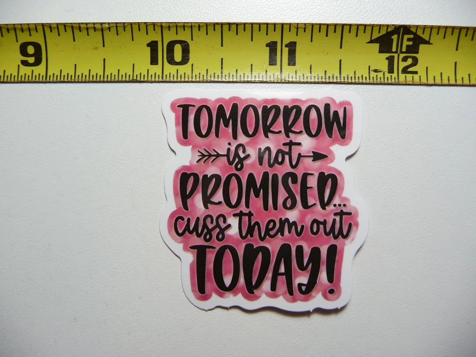 TOMORROW NOT PROMISED CUSS THEM TODAY SMALL STICKER DECAL FUNNY SAYING SNARKY