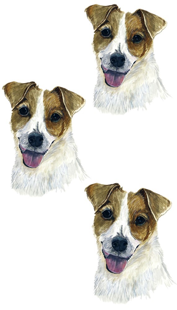 Decal Vinyl Sticker Jack Russel – Minis Set of 3 Printed Vinyl Decals Made in…