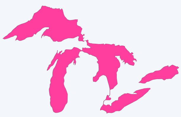 Michigan Great Lakes Vinyl Decal Sticker – You choose color and size