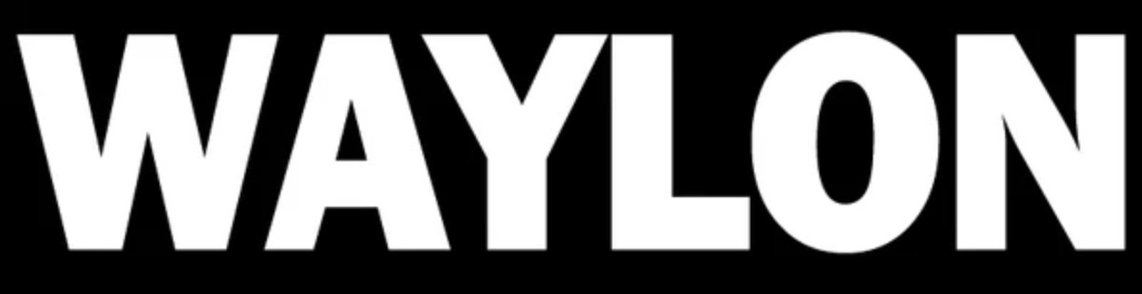 Waylon Jennings Music Vinyl Die Cut Car Decal Sticker — FREE SHIPPING