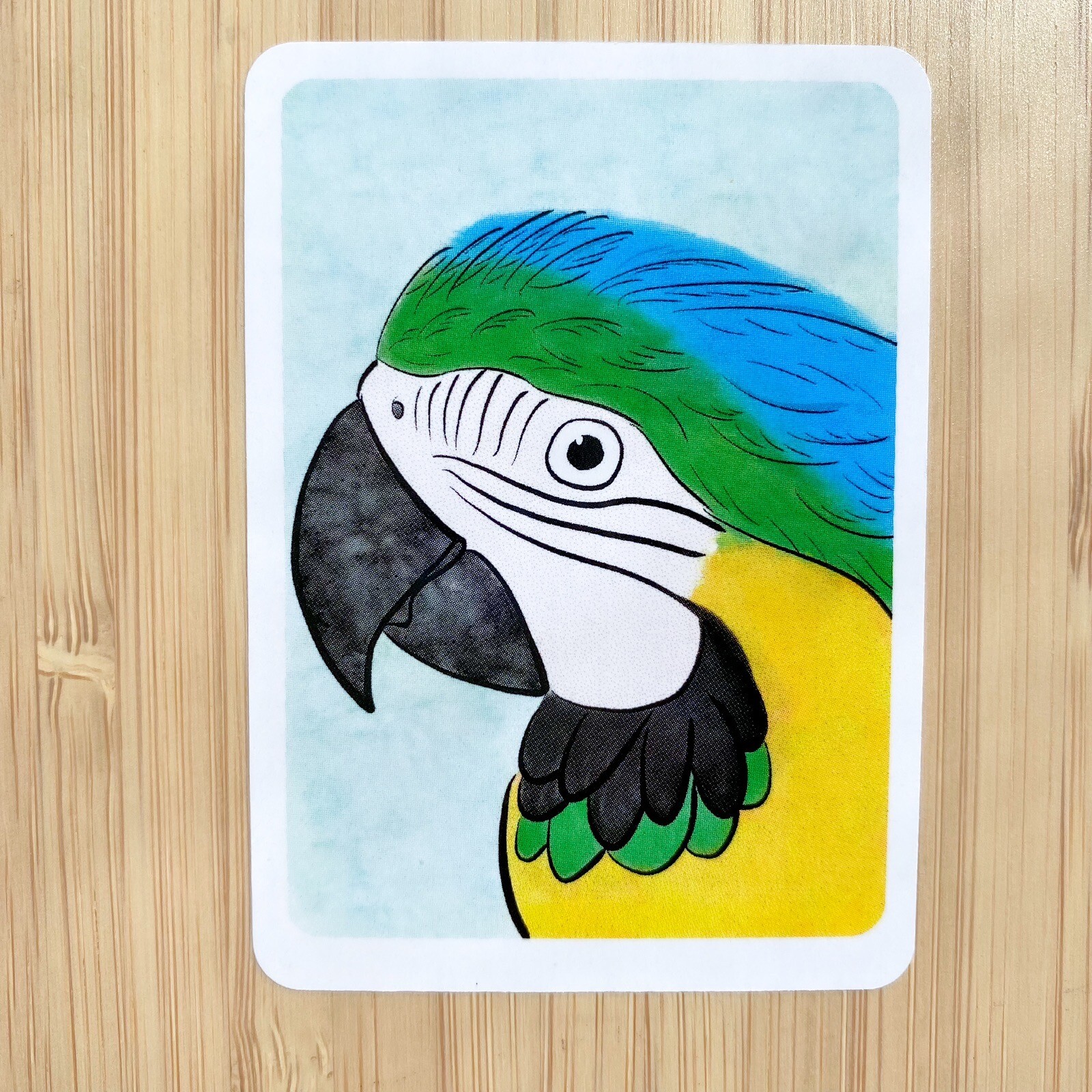 Blue and yellow macaw Parrot Sticker