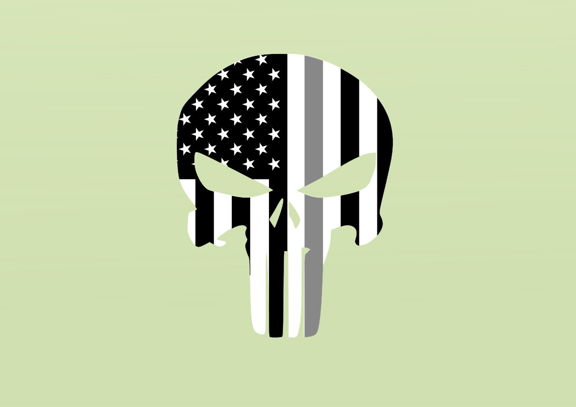 PUNISHER SKULL American Flag THIN SILVER LINE Vinyl Decal Sticker