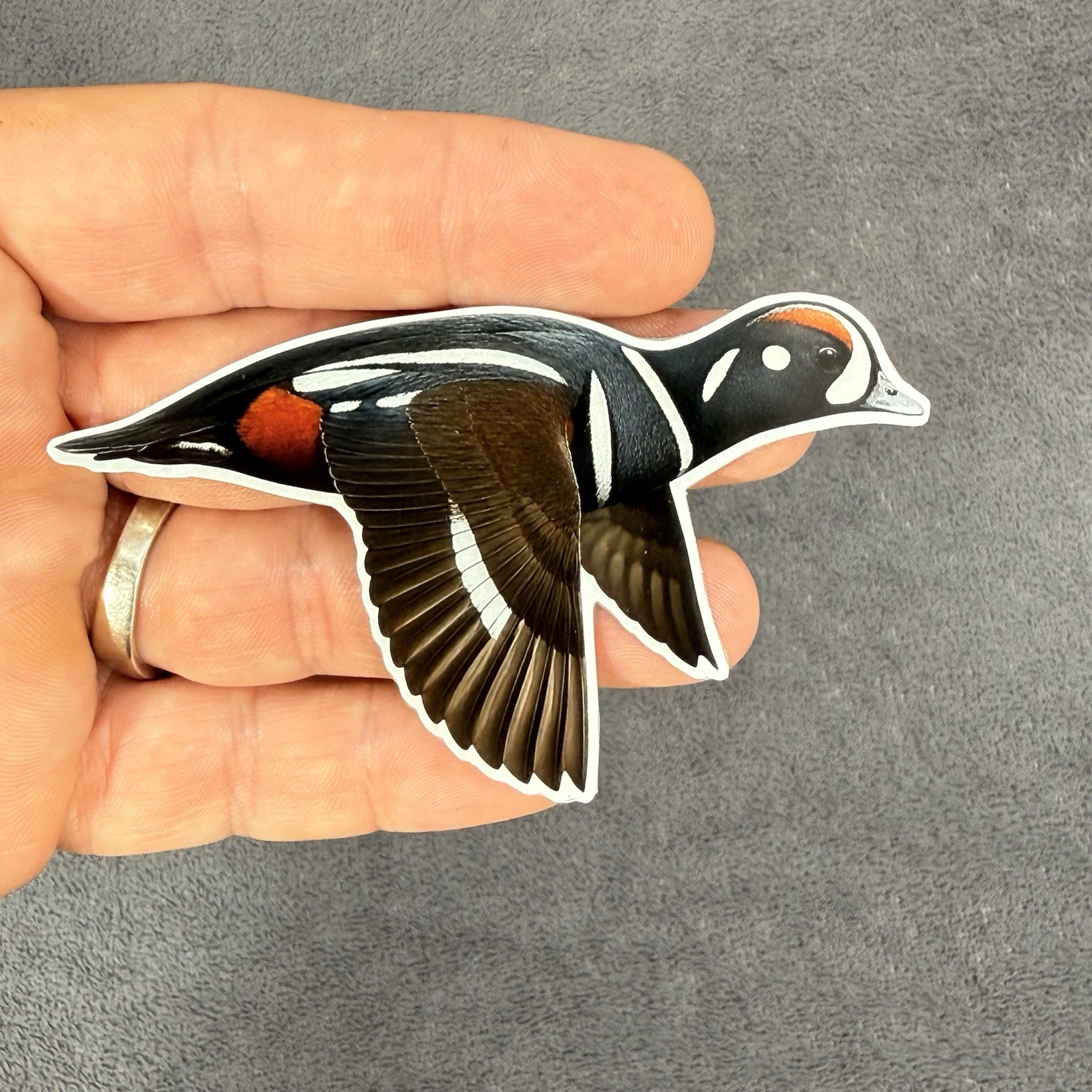 Harlequin Duck Decoy Sticker Vinyl Hunting Stamp Logo Sea Duck Shotgun Bird Fly